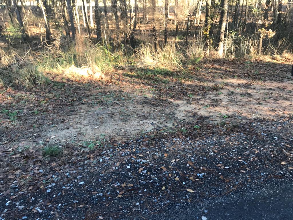 woodyard woodyard road trenton sc 29842 – HIXON Realty Company